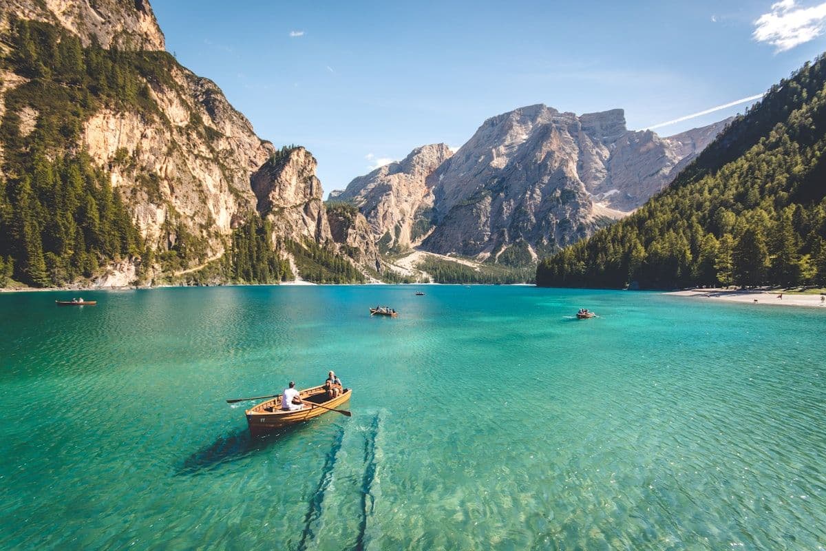 Safari Adventures in Africa: What to Expect
