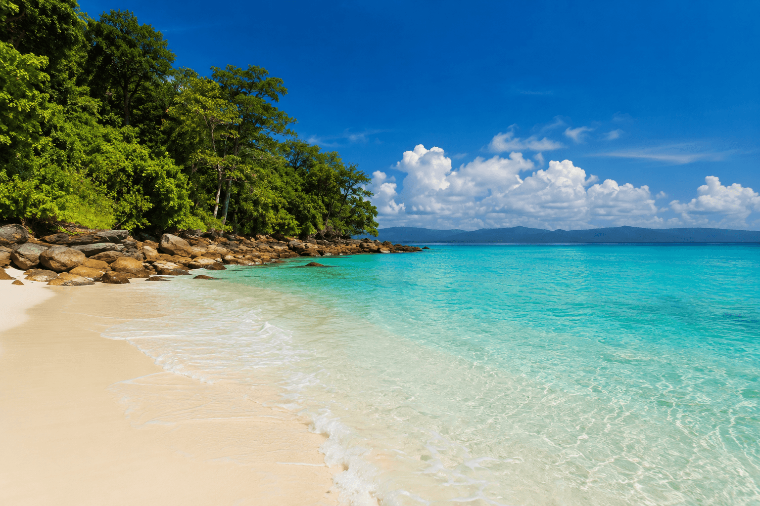 Andaman Delight